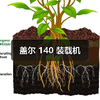 盖尔 140 装载机(图2) 盖尔 140 装载机(图2)