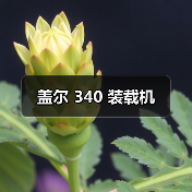 盖尔 340 装载机（图3）