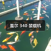 盖尔 340 装载机（图1）