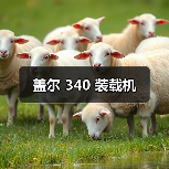 盖尔 340 装载机（图4）