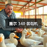 盖尔 340 装载机（图2）