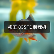 柳工 835TE 装载机（图3）