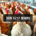 凯斯 621F 装载机（图4）