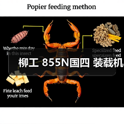 柳工 855N国四 装载机（图3）