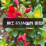 柳工 855N国四 装载机（图1）
