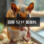 凯斯 521F 装载机（图4）