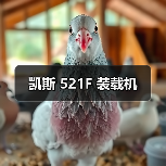 凯斯 521F 装载机（图3）