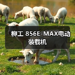 柳工 856E-MAX电动 装载机（图2）