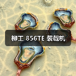 柳工 856TE 装载机（图2）