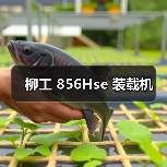 柳工 856Hse 装载机（图4）
