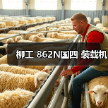 柳工 862N国四 装载机(图2) 柳工 862N国四 装载机(图2)
