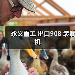 永义重工 出口908 装载机（图1）