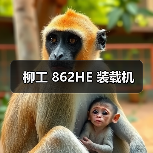 柳工 862HE 装载机(图3) 柳工 862HE 装载机(图3)