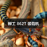 柳工 862T 装载机（图4）