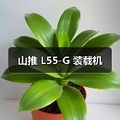山推 L55-G 装载机(图3) 山推 L55-G 装载机(图3)