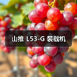 山推 L53-G 装载机（图1）