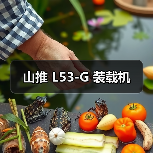 山推 L53-G 装载机（图3）