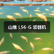山推 L56-G 装载机（图4）