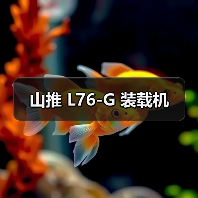 山推 L76-G 装载机（图3）