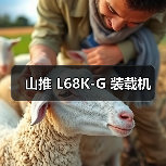 山推 L68K-G 装载机（图1）