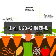 山推 L60-G 装载机（图3）