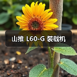 山推 L60-G 装载机（图1）