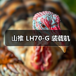 山推 LH70-G 装载机（图2）
