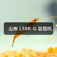 山推 L58K-G 装载机（图4）