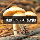 山推 L36K-G 装载机（图2）