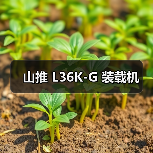 山推 L36K-G 装载机（图1）