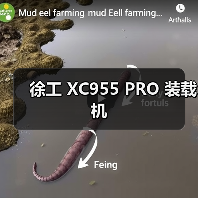徐工 XC955 PRO 装载机（图2）