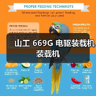 山工 669G 电驱装载机 装载机（图1）
