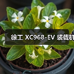 徐工 XC968-EV 装载机（图4）