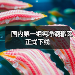国内第一组纯净钢辙叉正式下线(图1) 国内第一组纯净钢辙叉正式下线(图1)