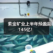 紫金矿业上半年预盈超145亿!(图3) 紫金矿业上半年预盈超145亿!(图3)