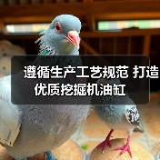 遵循生产工艺规范 打造优质挖掘机油缸（图1）