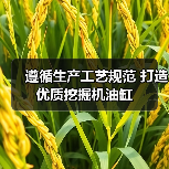 遵循生产工艺规范 打造优质挖掘机油缸（图3）