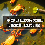 中国电科助力传统港口向智慧港口迭代升级(图1) 中国电科助力传统港口向智慧港口迭代升级(图1)