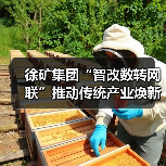 徐矿集团“智改数转网联”推动传统产业焕新升级（图3）