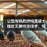 公路与铁路结构混凝土强度无损检测技术，确保工程质量与安全（图1）