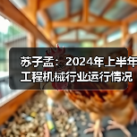 苏子孟:2024年上半年工程机械行业运行情况(图3) 苏子孟:2024年上半年工程机械行业运行情况(图3)