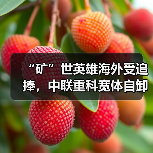 “矿”世英雄海外受追捧，中联重科宽体自卸车批量交付沙特（图2）