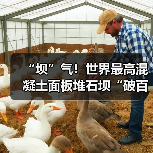 “坝”气！世界最高混凝土面板堆石坝“破百”（图1）