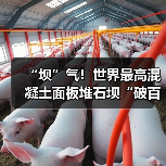 “坝”气！世界最高混凝土面板堆石坝“破百”（图3）