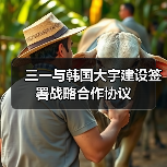 三一与韩国大宇建设签署战略合作协议（图2）