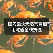 国内最长天然气管道专用隧道全线贯通（图4）