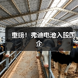 重磅！弗迪电池入股国企（图1）