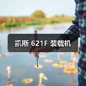 凯斯 621F 装载机（图3）