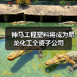 神马工程塑料将成为尼龙化工全资子公司（图3）