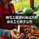 神马工程塑料将成为尼龙化工全资子公司（图4）
